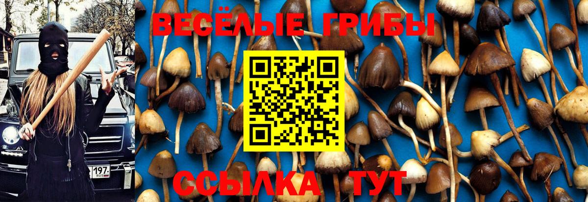 Псилоцибиновые грибы Magic Shrooms Бор